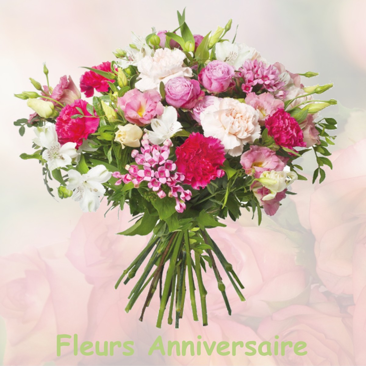 fleurs anniversaire ASNIERES-LES-DIJON